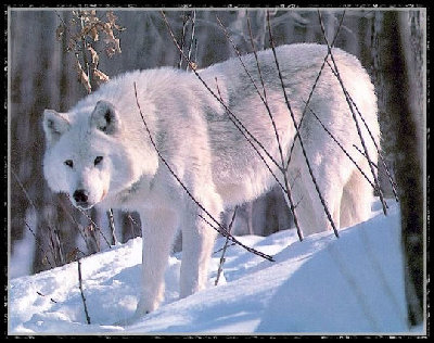 battered book, open page,<br />faded words, tear stains,<br />read on its time for a change<br />a new story, a new start<br />a new life