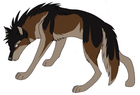 Amber in wolf form