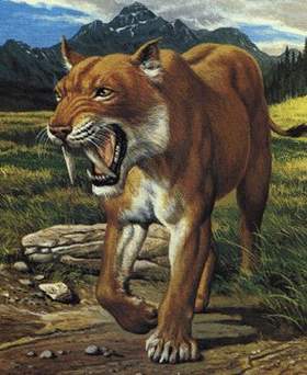 Smilodon1.jpg